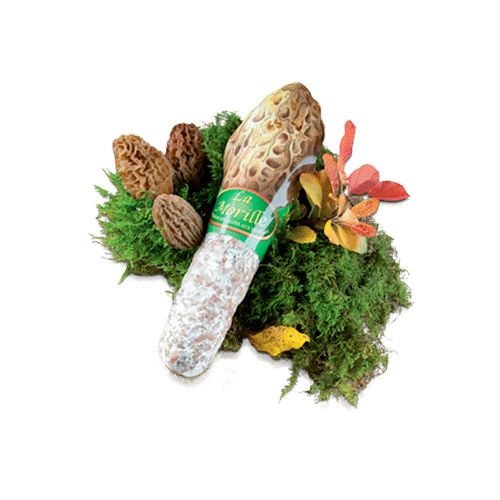 Saucisson aux morilles sur lit de mousse