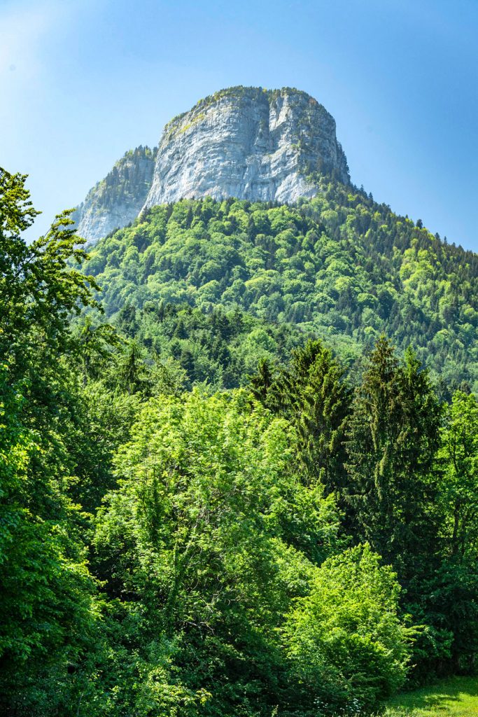 Vue verdoyante du Mont Charvin